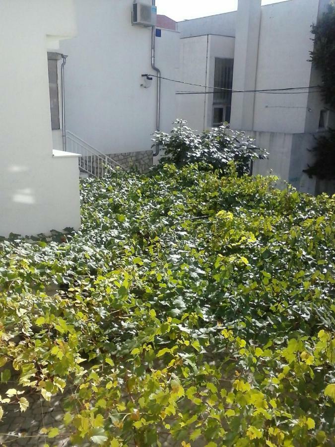 Apartmani Maric Selce Exterior foto